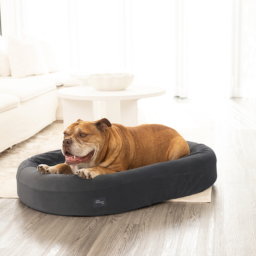 Chill Pill Velvet Easy Fit Cover - Charcoal