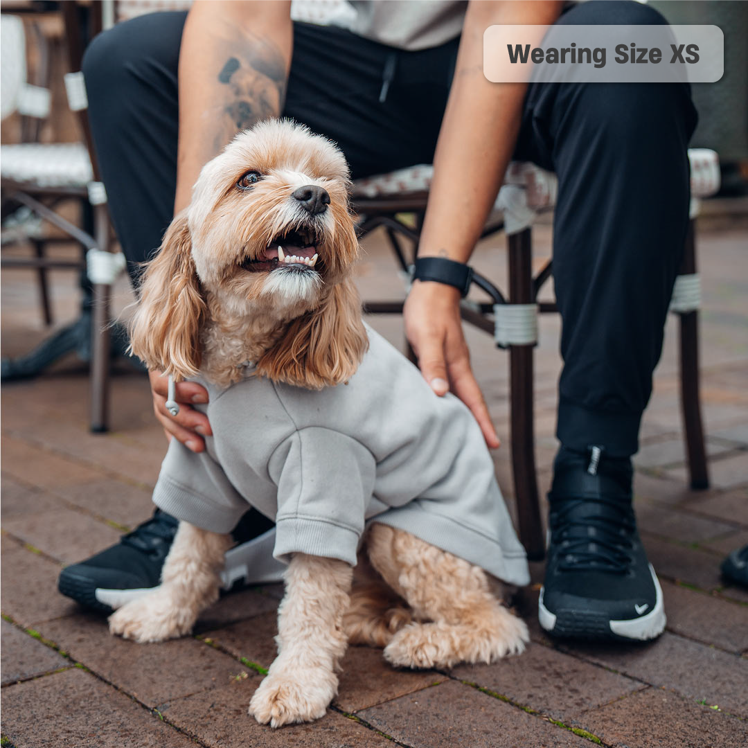 Winter Dog Hoodies - Grey