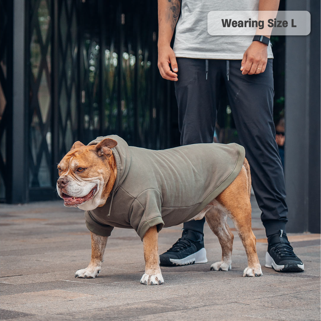 Winter Dog Hoodies - Khaki