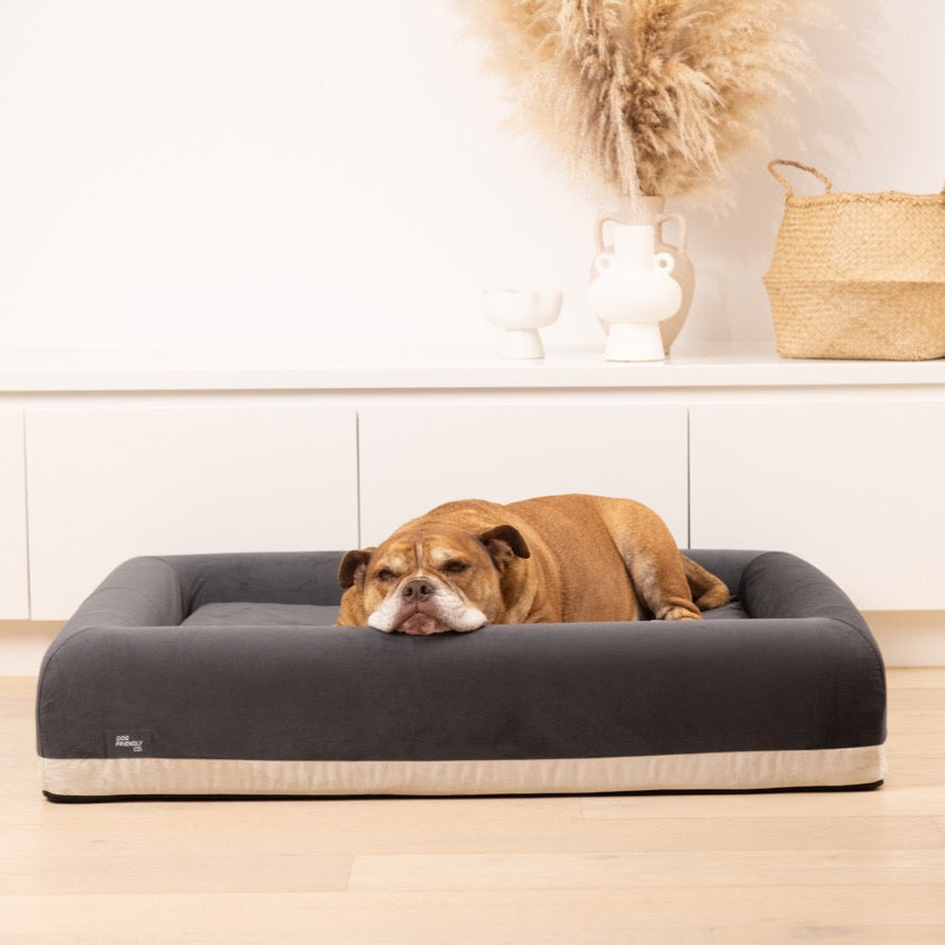 Replacement Cover - Charcoal