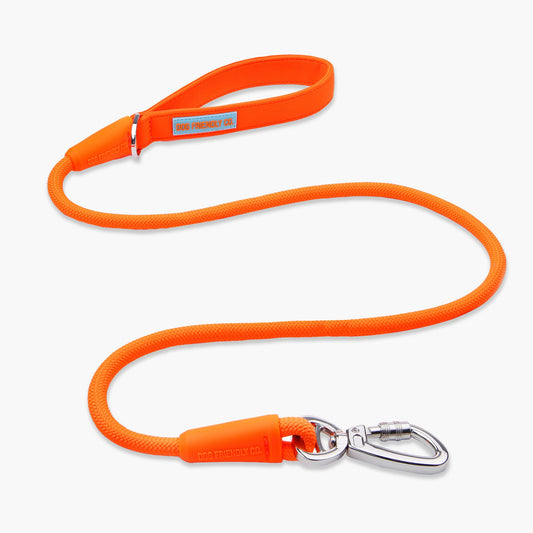Vet-Approved Dog Leashes: What Makes the Cut?