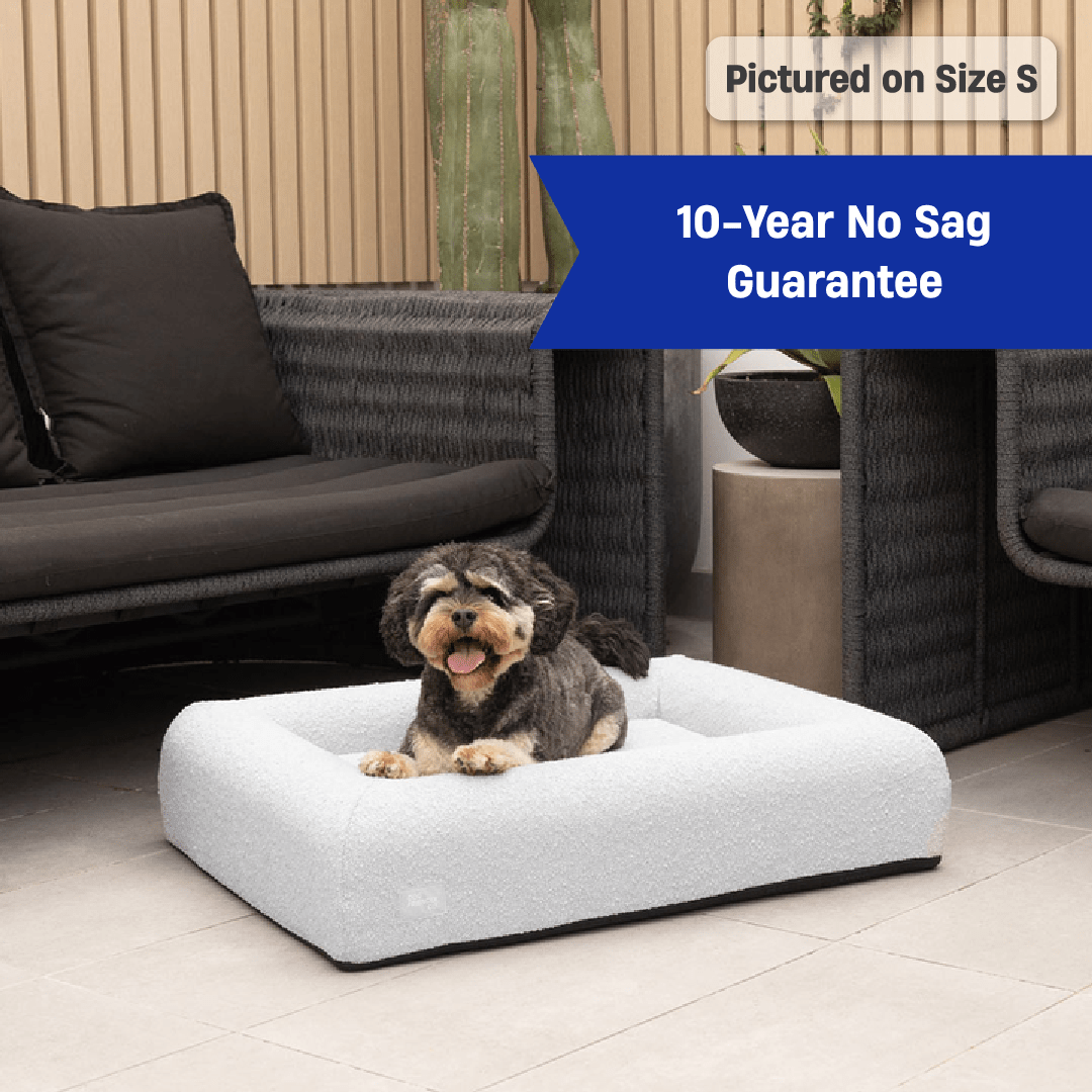 Premium Orthopedic Memory Foam Dog Bed - Grey Bouclé (Large)