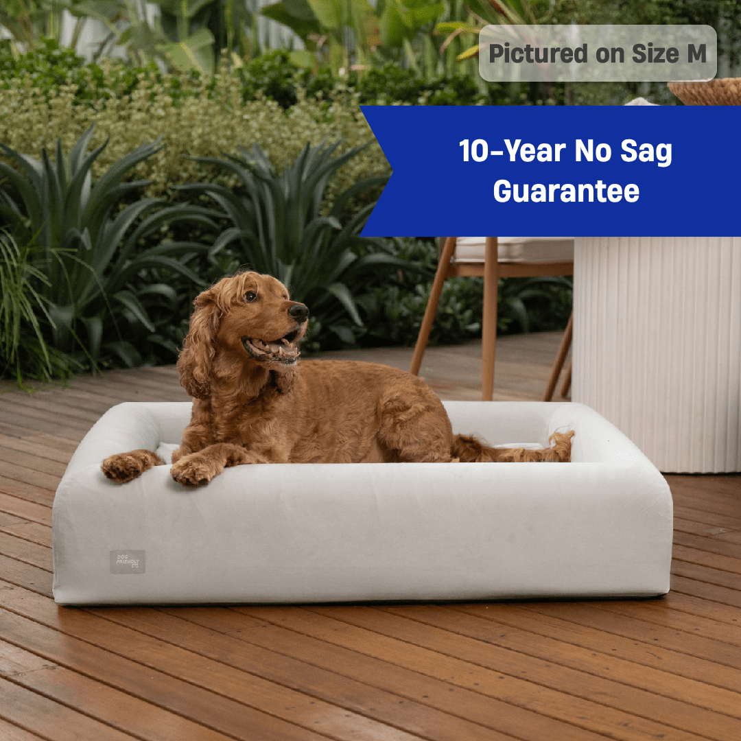 Premium Orthopedic Memory Foam Dog Bed - Grey (Large)