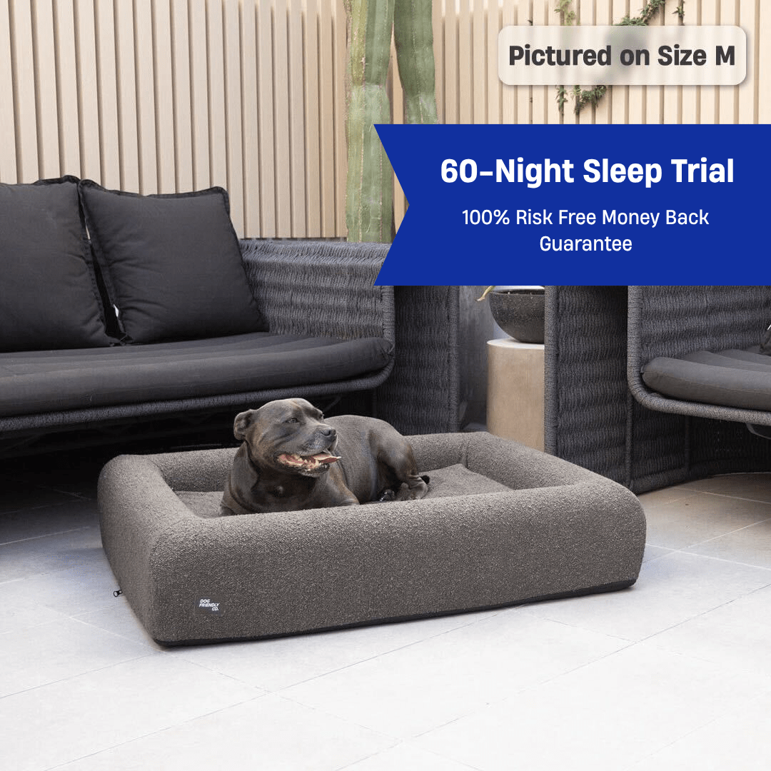 Premium Orthopedic Memory Foam Dog Bed - Brown Bouclé (Medium)