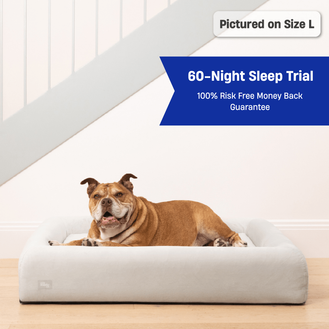 Premium Orthopedic Memory Foam Dog Bed - Grey (Large)
