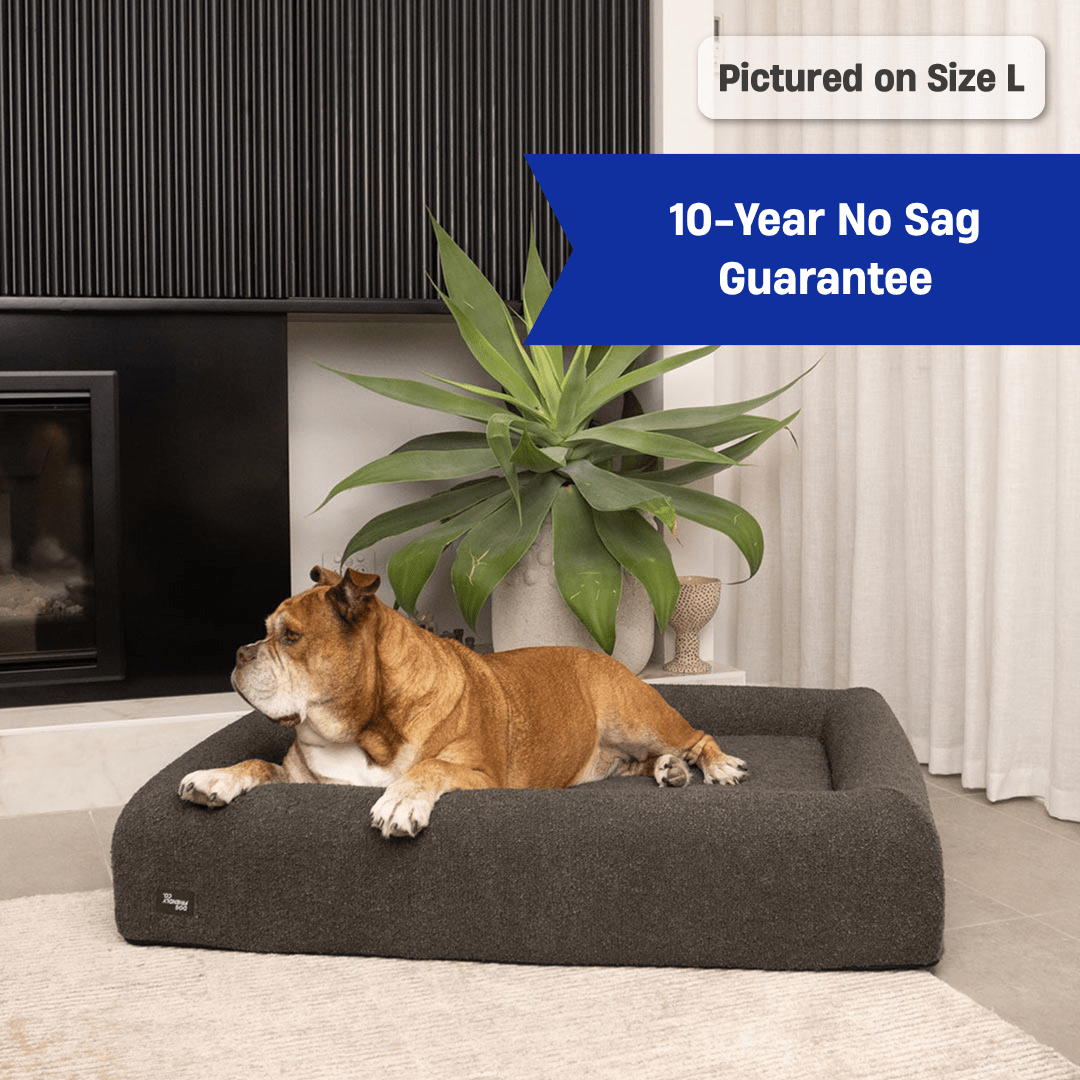 Premium Orthopedic Memory Foam Dog Bed - Brown Bouclé (Medium)