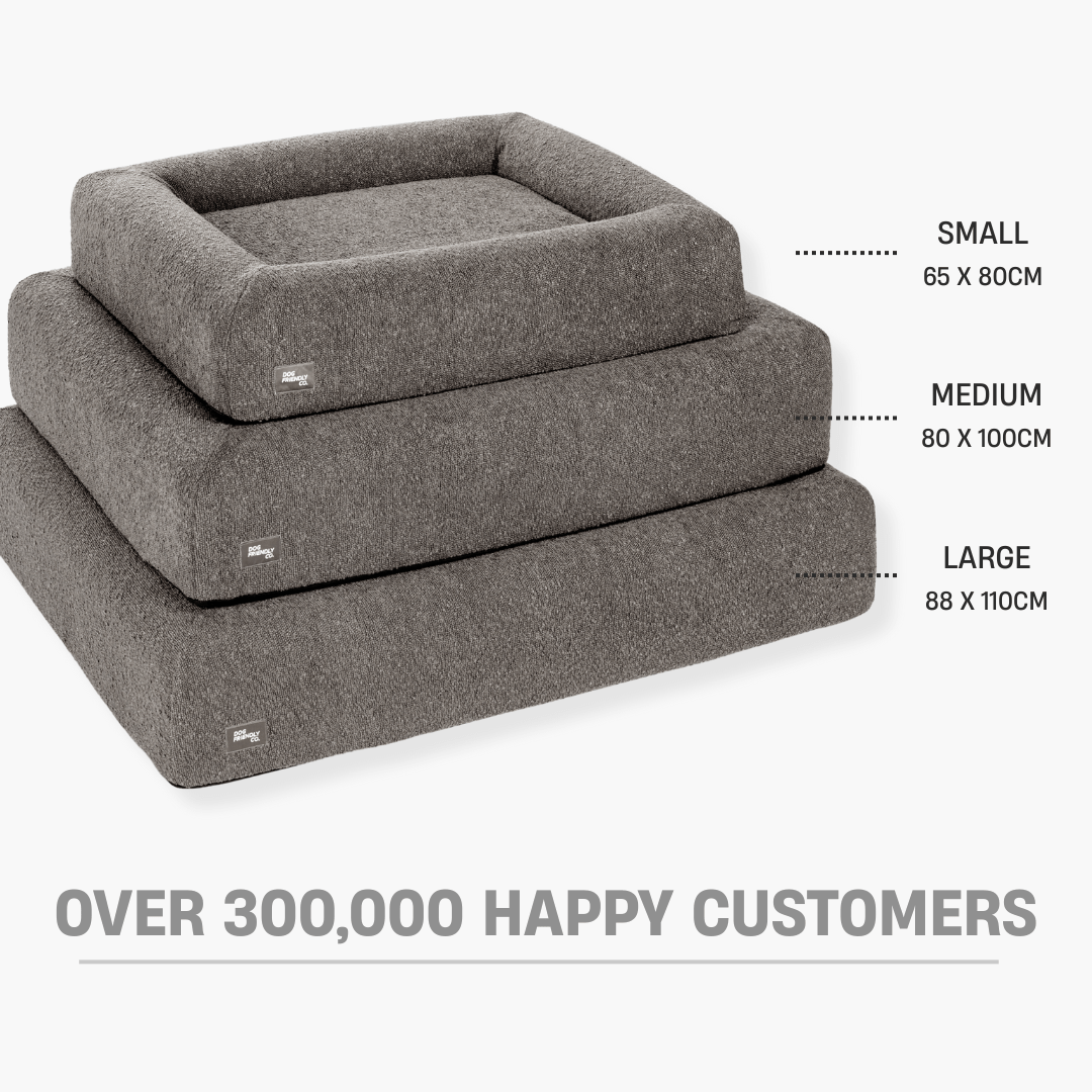 Premium Orthopedic Memory Foam Dog Bed - Brown Bouclé (Medium)