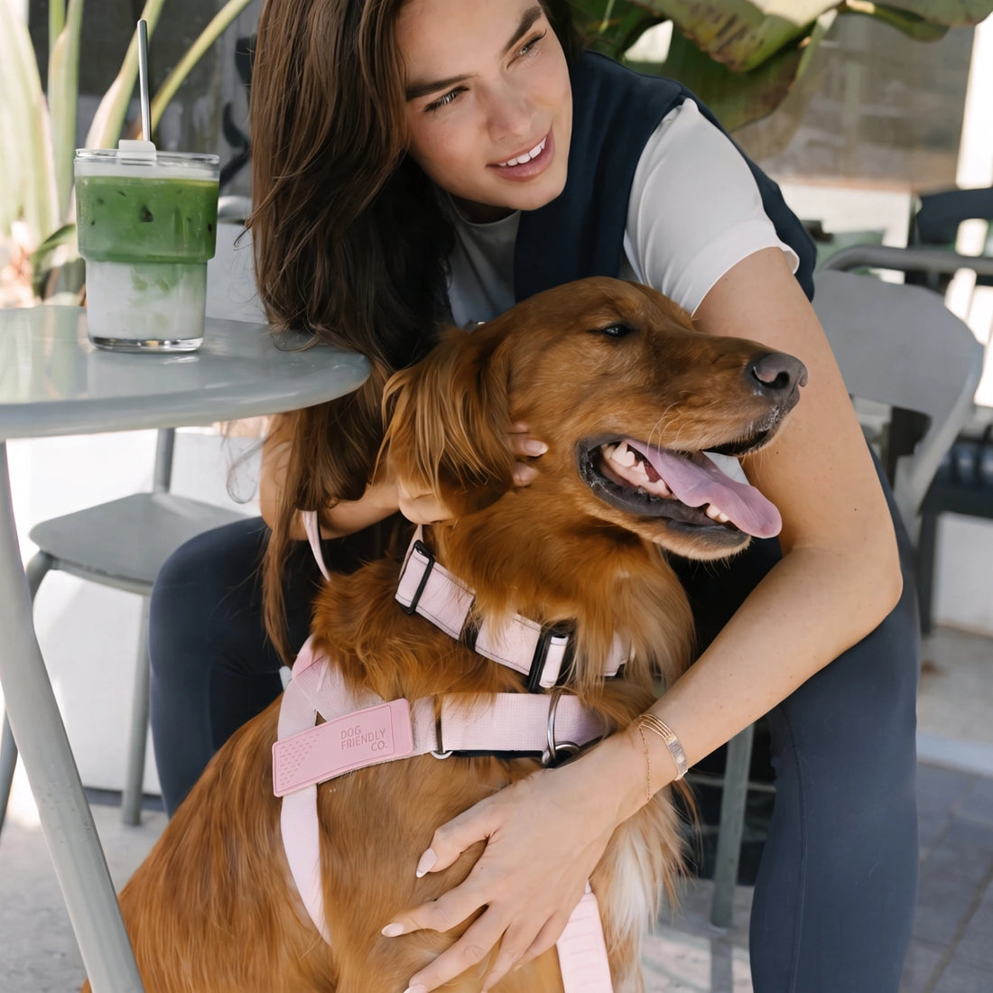 Woman hugging a golden retriever wearing the Sakura harness at a cafe