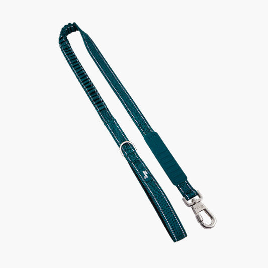 Bungee Dog Leash - 7AM Club Limited Edition