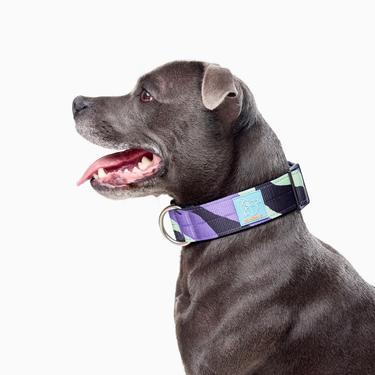 Walk#001 Tactical Dog Collar