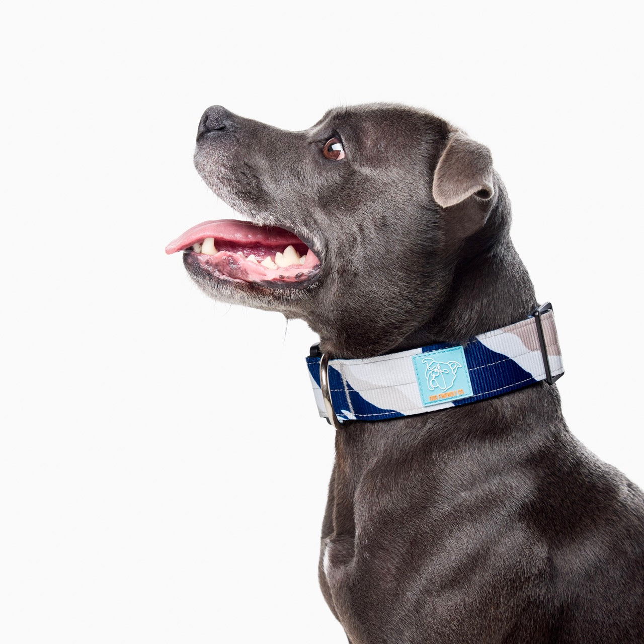 Walk#001 Tactical Dog Collar