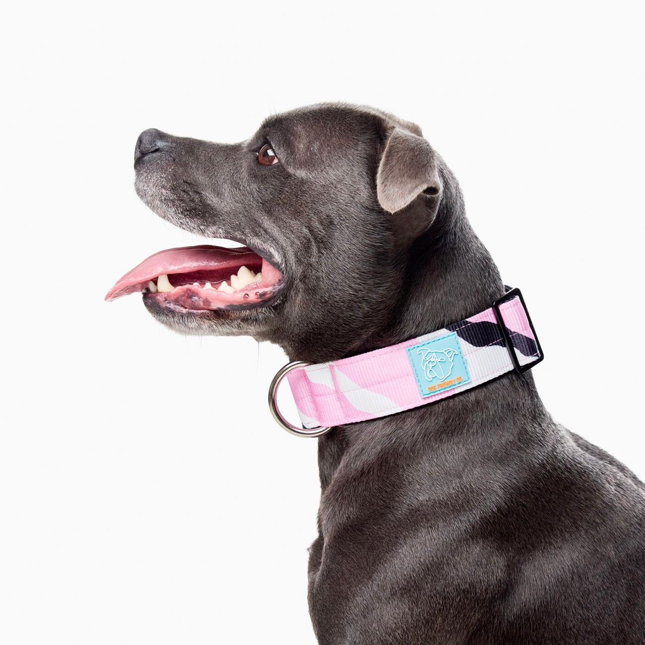 Walk#001 Tactical Dog Collar
