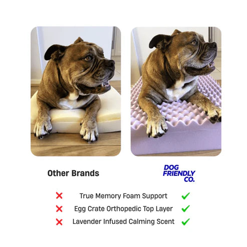 Sleep Set - Charcoal