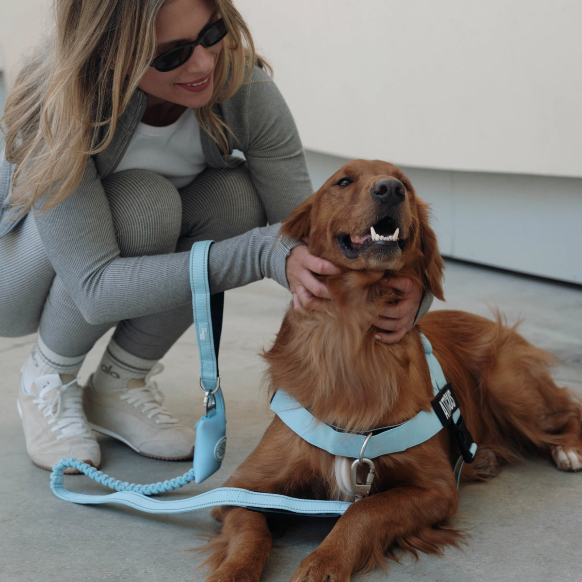 Sky blue bungee dog leash being used while walking a dog.