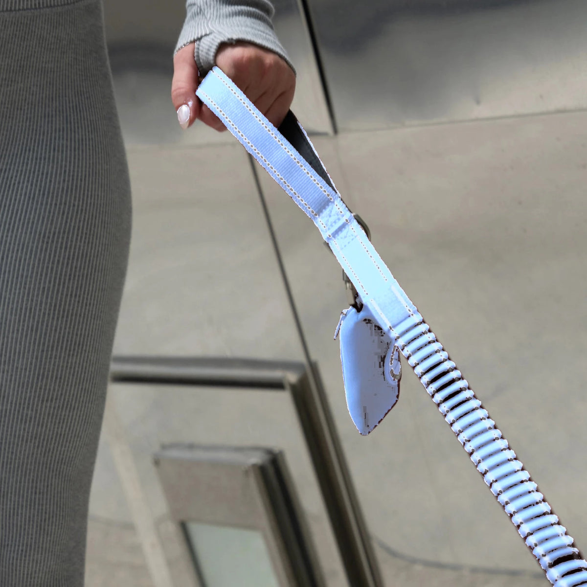 Hand holding the Air bungee leash with the poop bag holder clipped on