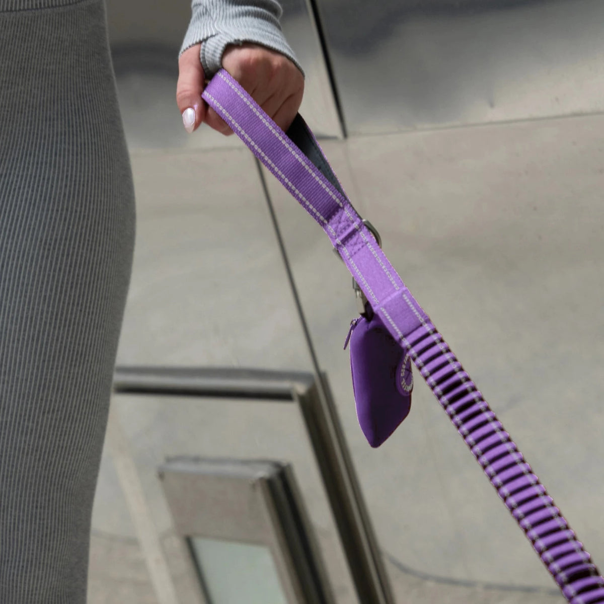 Hand holding the Indigo bungee leash with the poop bag holder clipped on