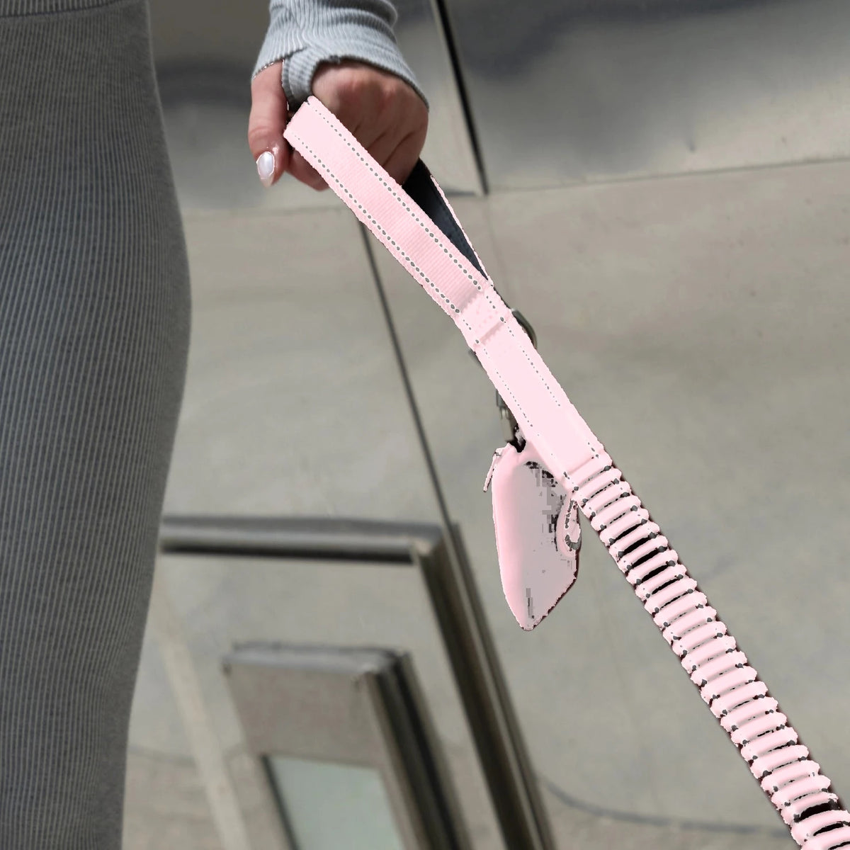 Hand holding the Sakura bungee leash with the poop bag holder clipped on