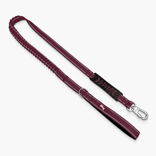 Bungee Dog Leash - Burgundy