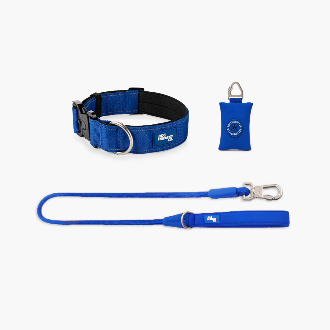 Collar Walk Set - Classic Blue