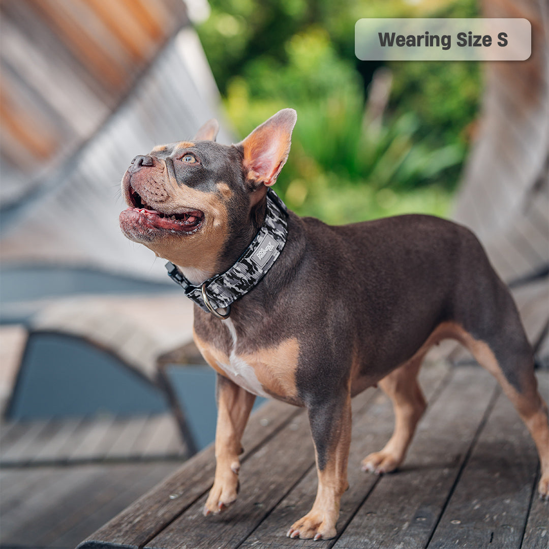 Collar Walk Set - Grey Camo
