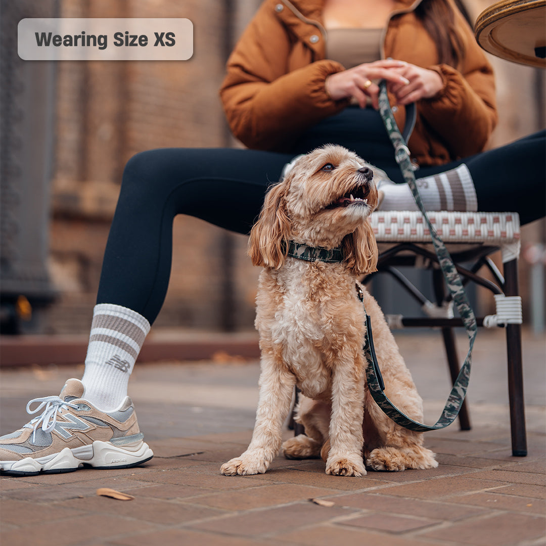 Collar Walk Set - Green Camo