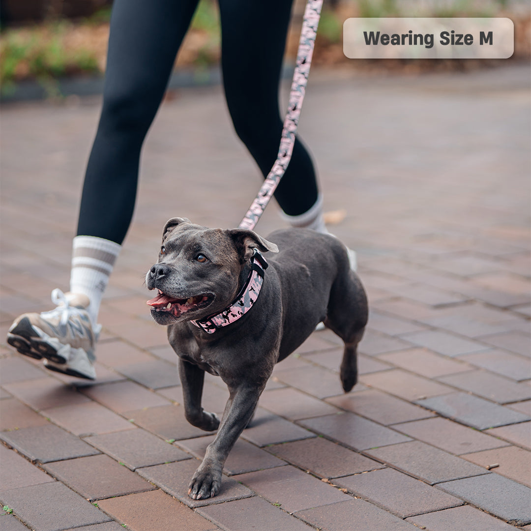 Collar Walk Set - Pink Camo