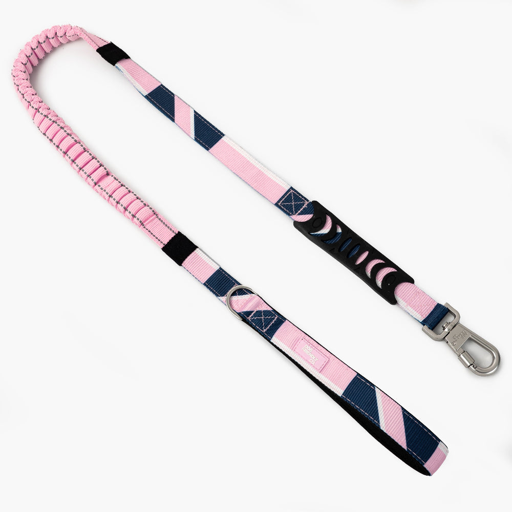Collar Walk Set - Limited Edition Pink