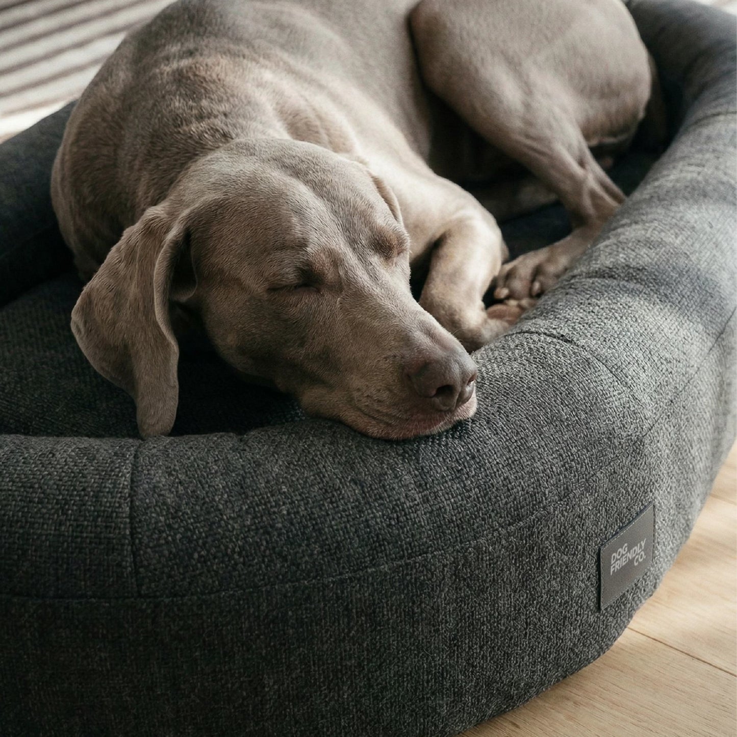 Chill Pill Replacement Cover - Charcoal
