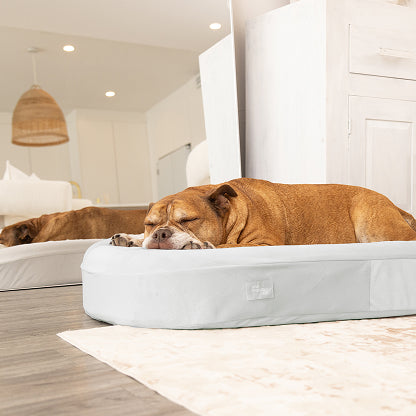 Chill Pill Velvet Easy Fit Cover - Grey