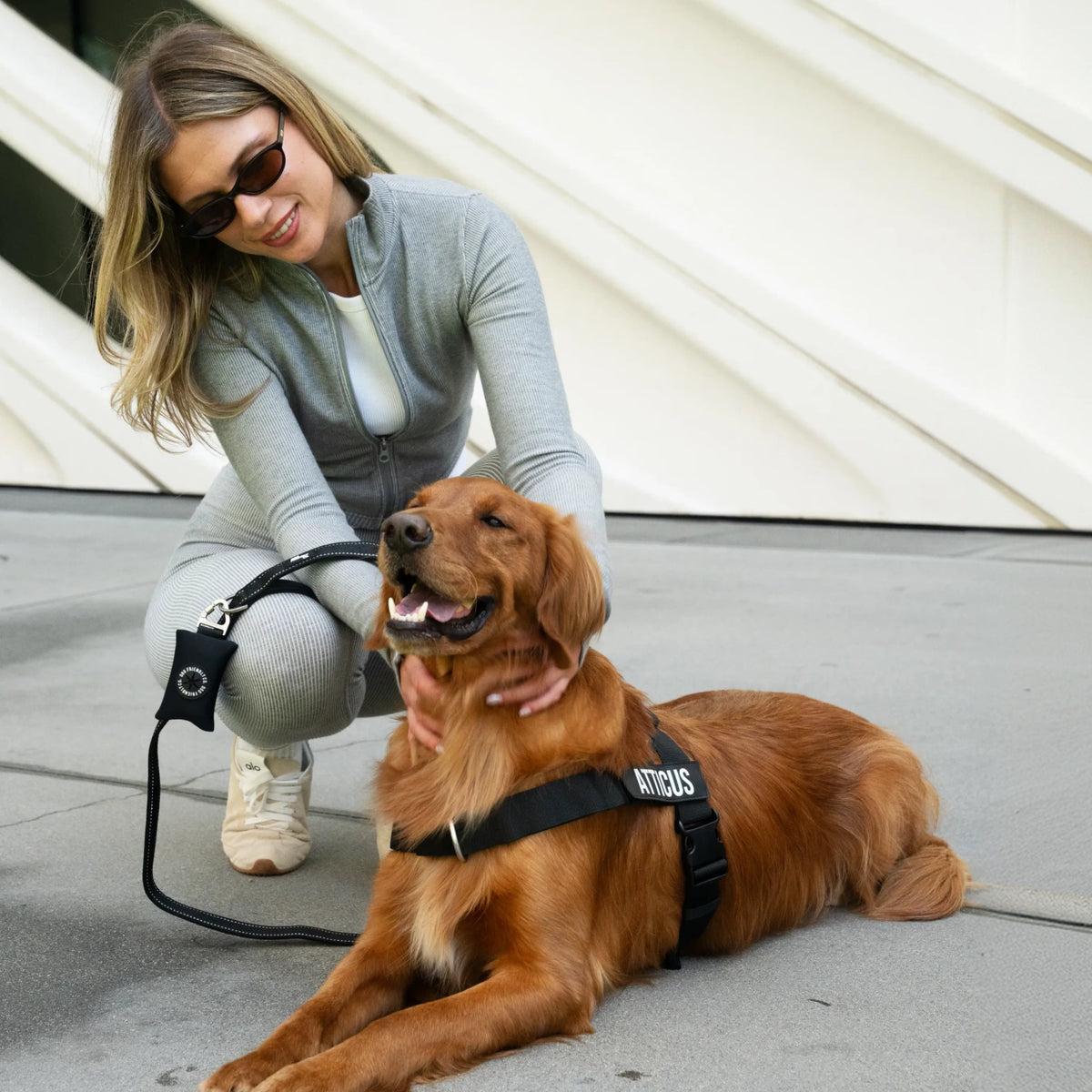 Classic Dog Leash - Black