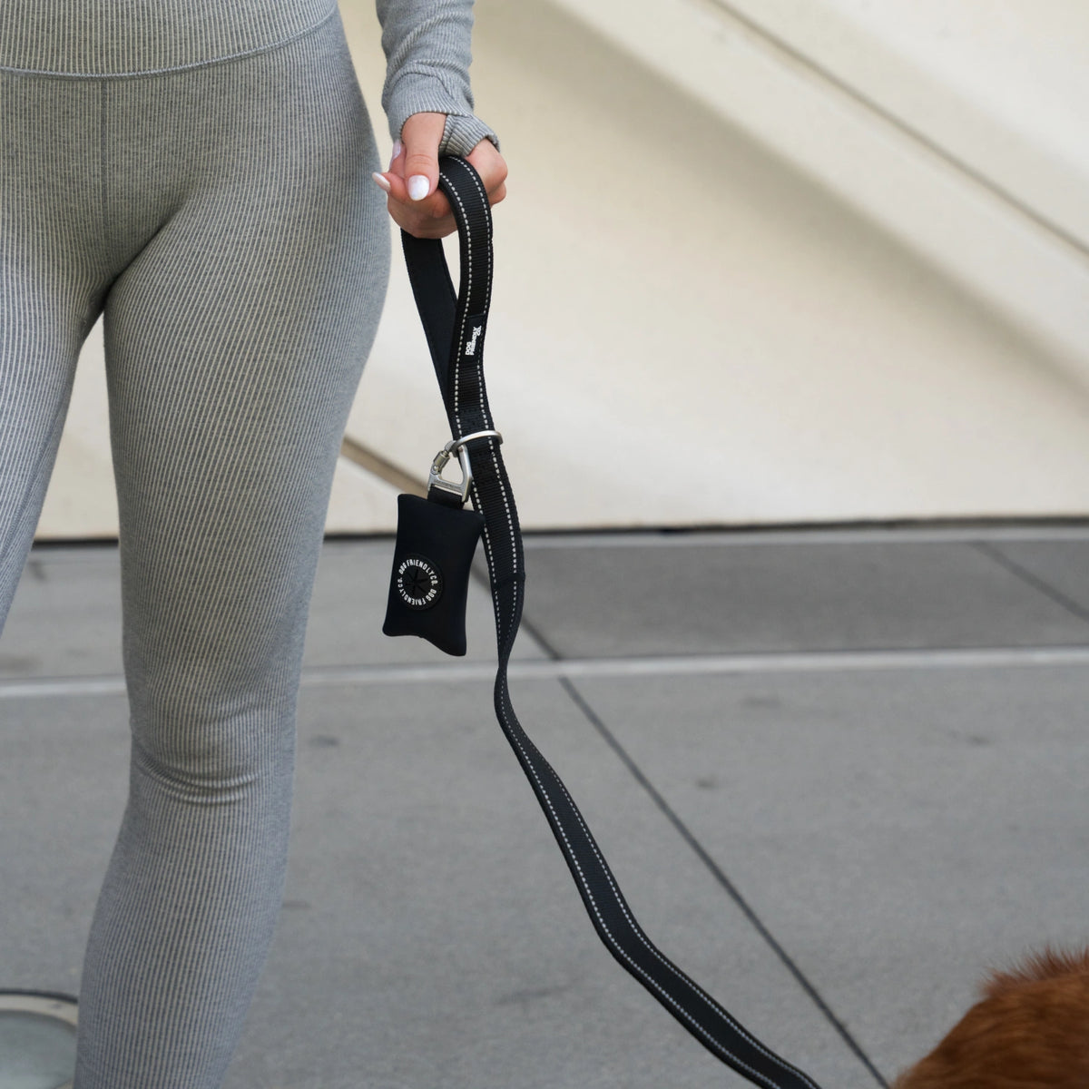 Classic Dog Leash - Black