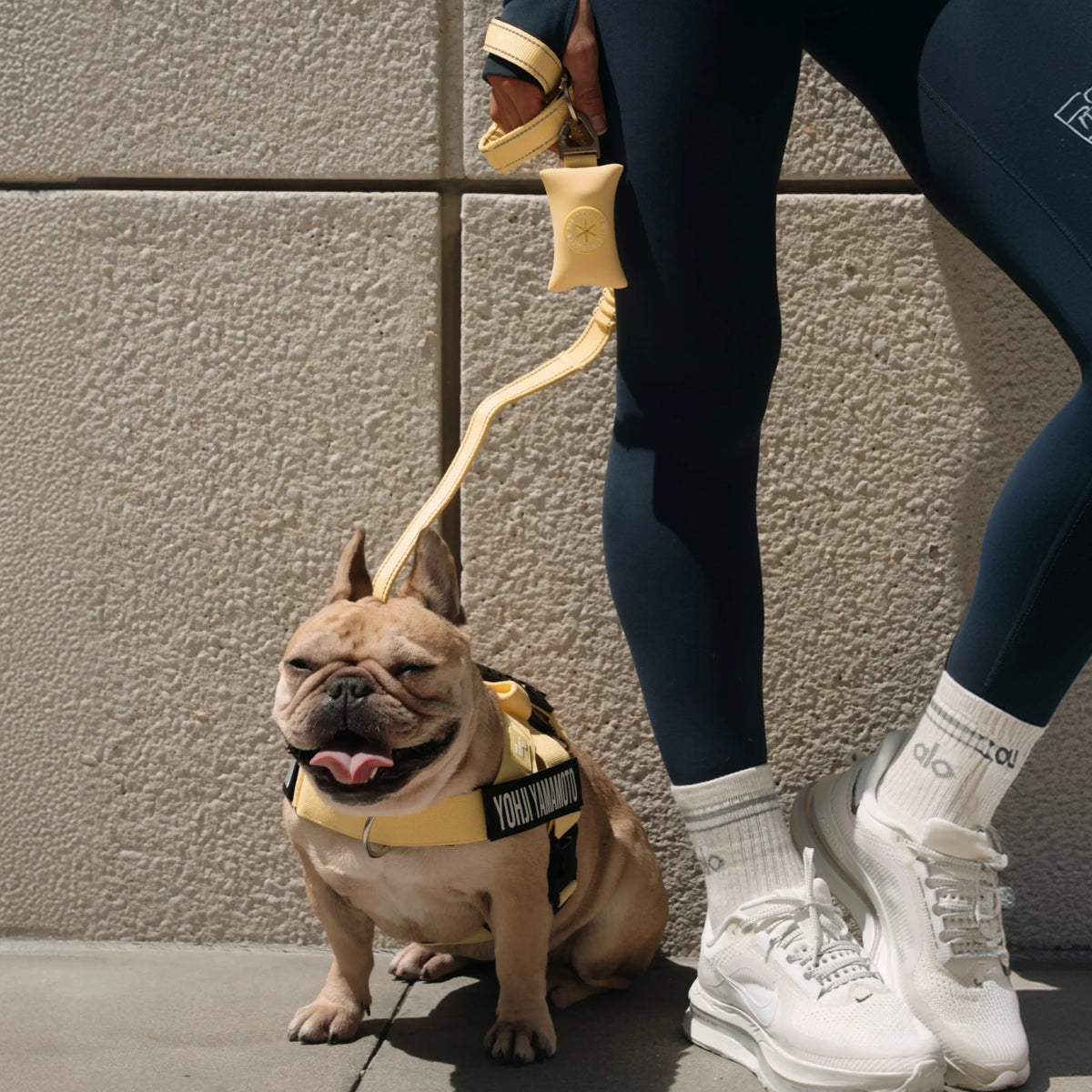 Classic Dog Leash - Yellow