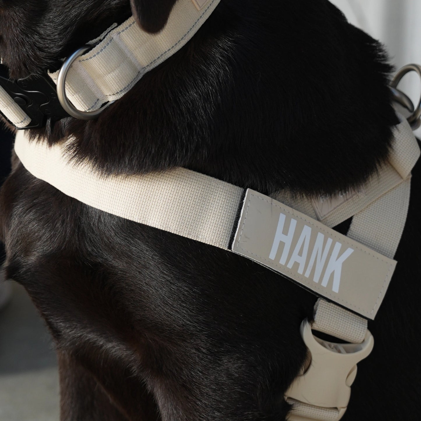 Ultimate No-Pull Bundle - Limited Edition Latte