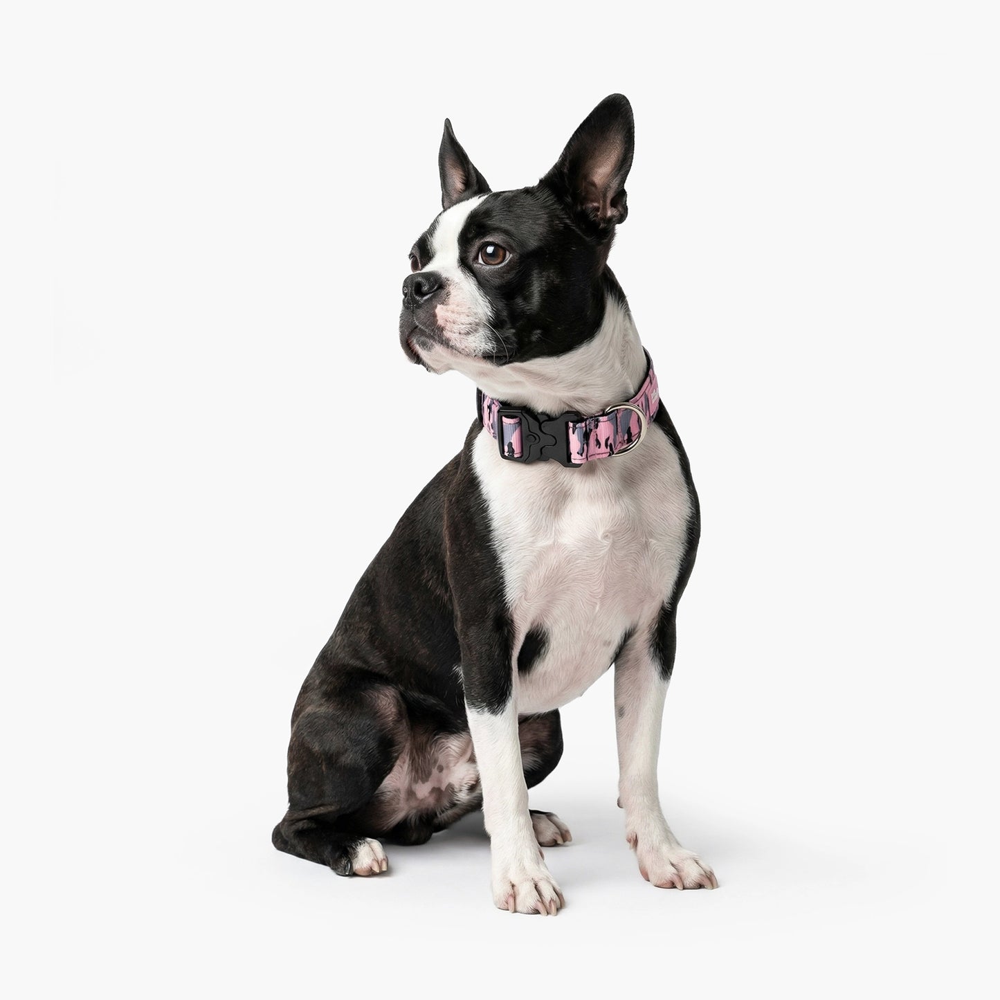 Collar Walk Set - Pink Camo