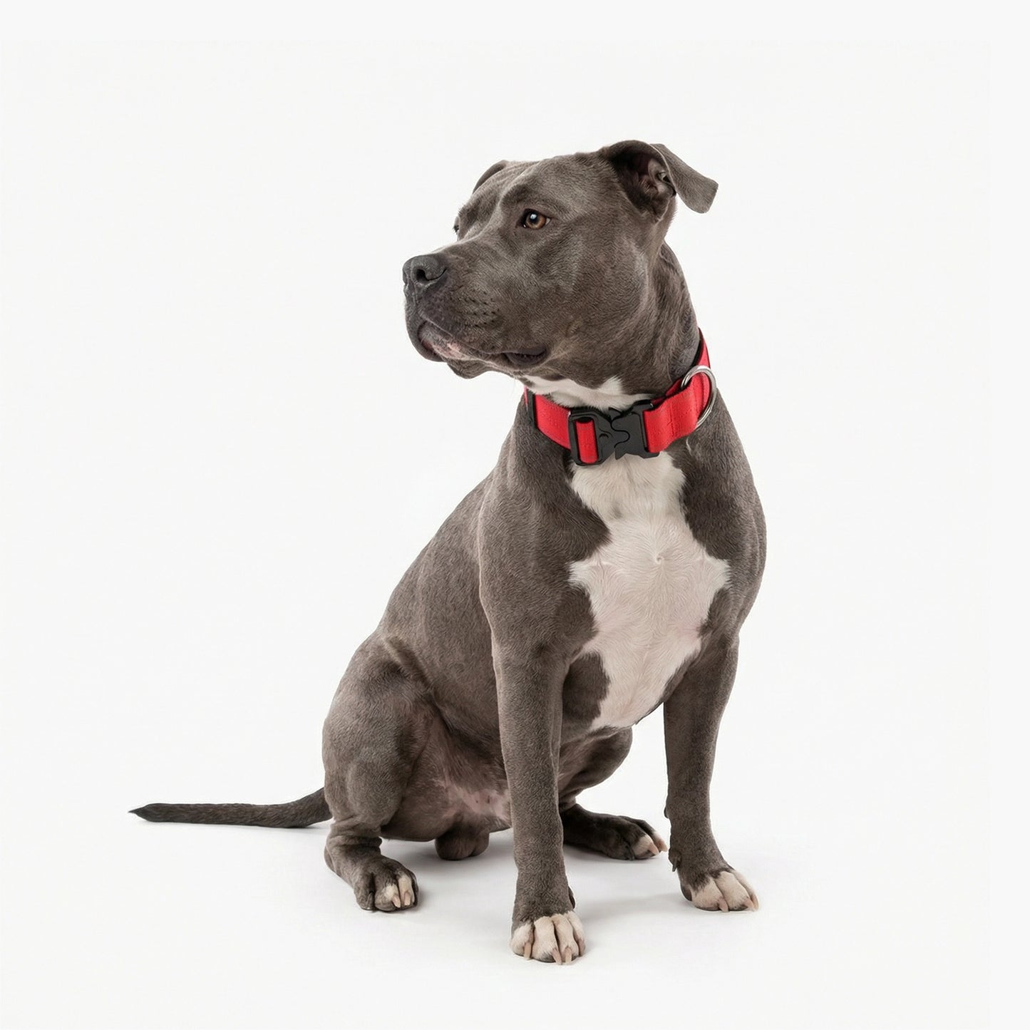 Collar Walk Set - Red