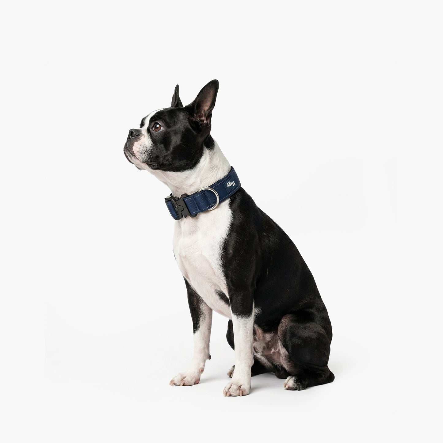 Tactical Dog Collar - Navy Blue