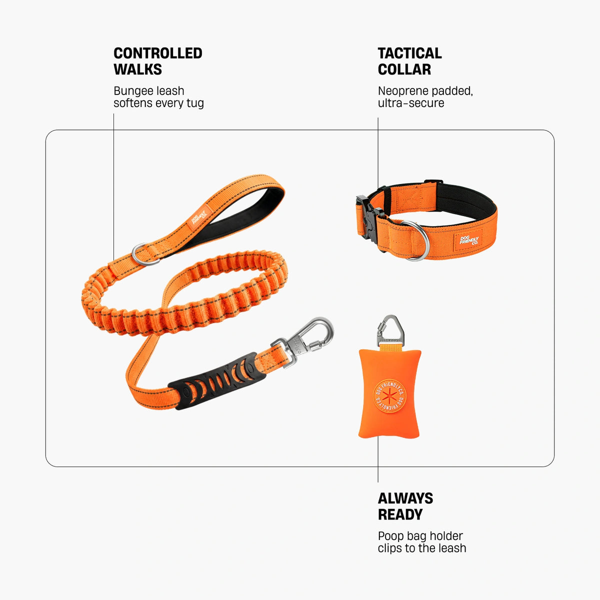 Collar Walk - Orange