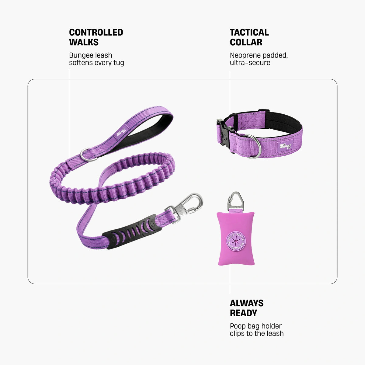 Collar Walk - Purple