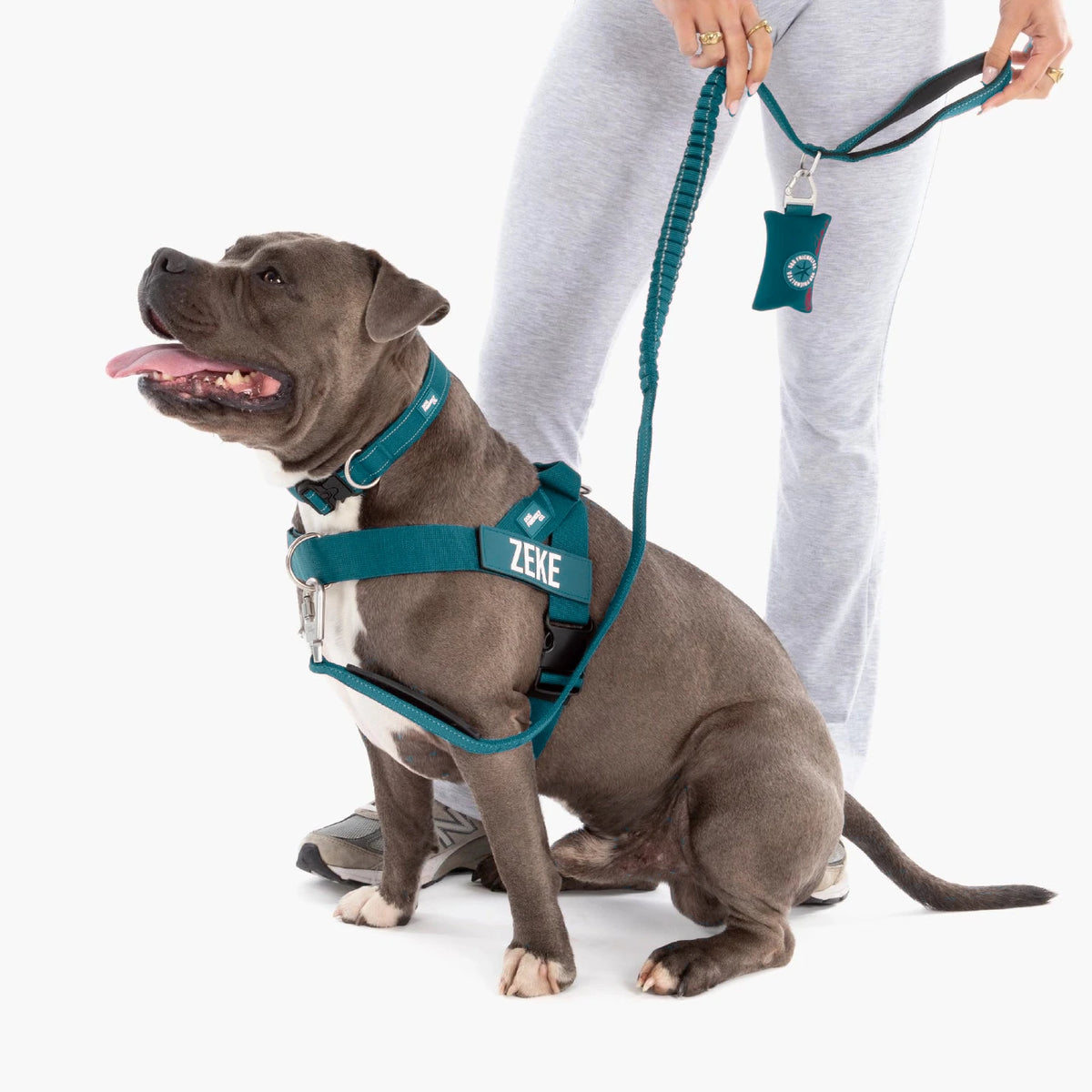 Staffy in the Forest harness with the name ZEKE, Forest collar and bungee leash; the owner holds the poop bag holder