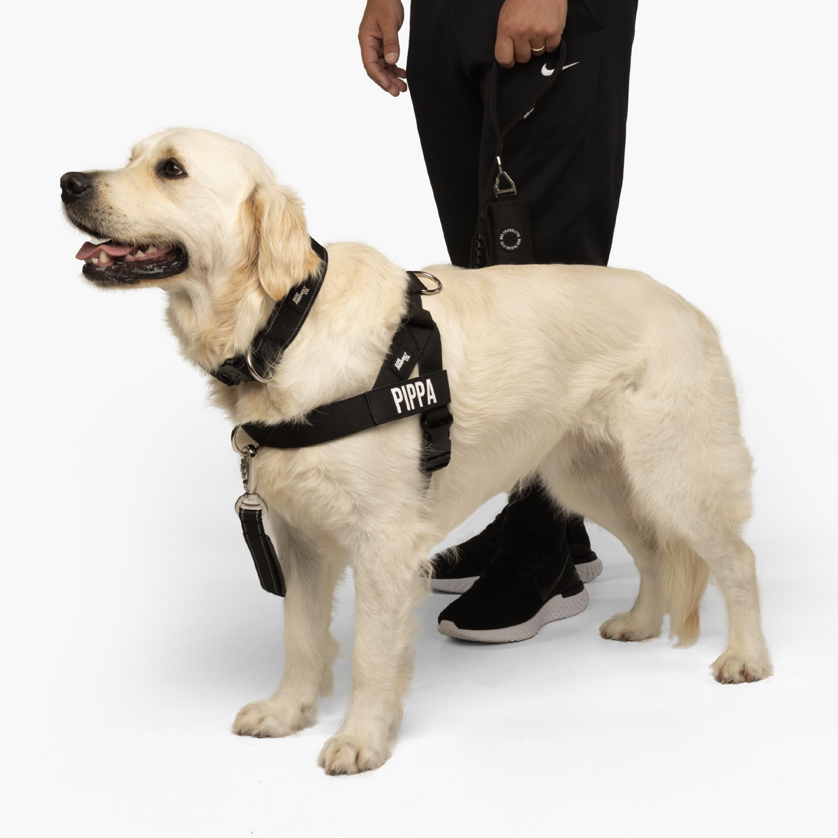 Dog Lovers Pack - Black