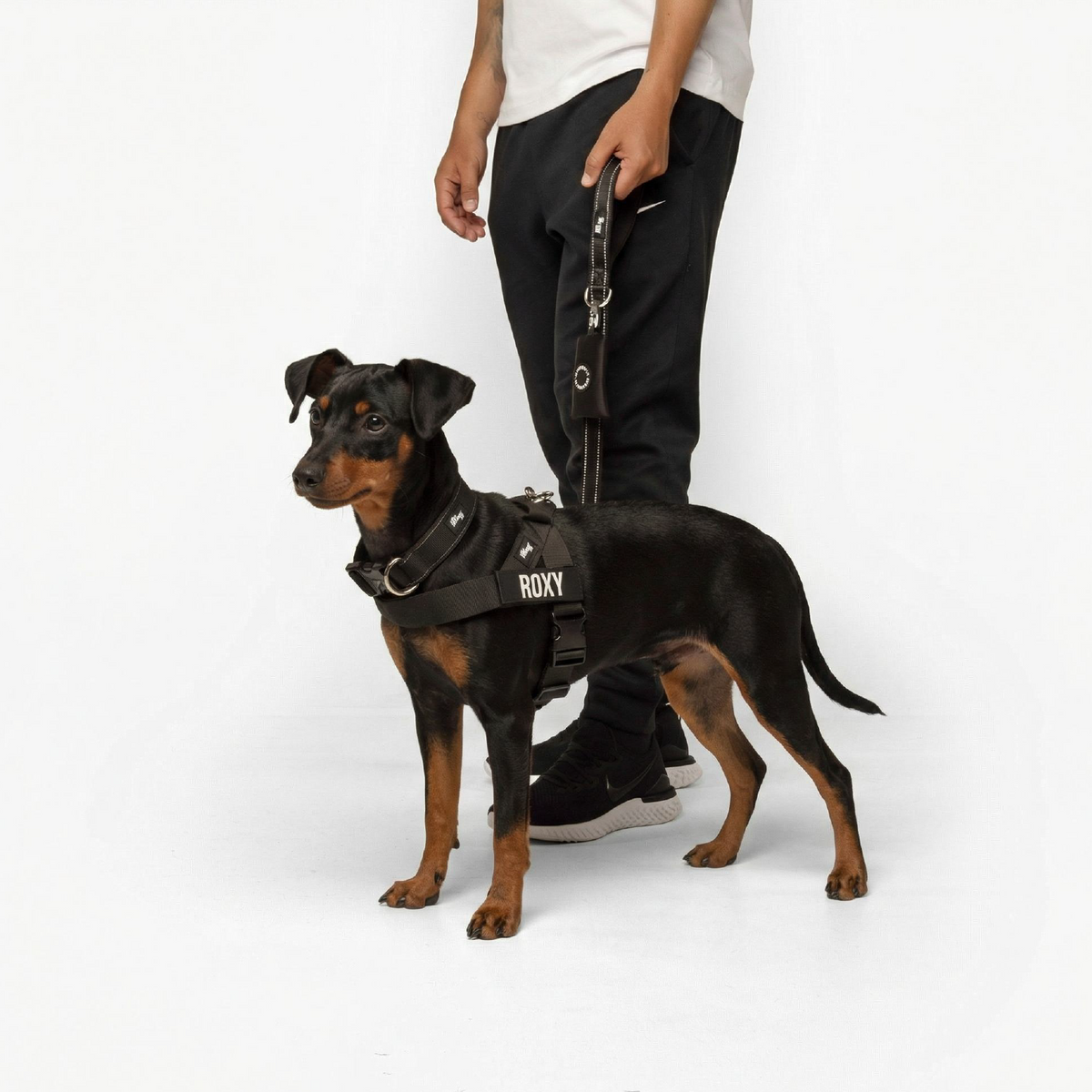 Dog Lovers Pack - Black