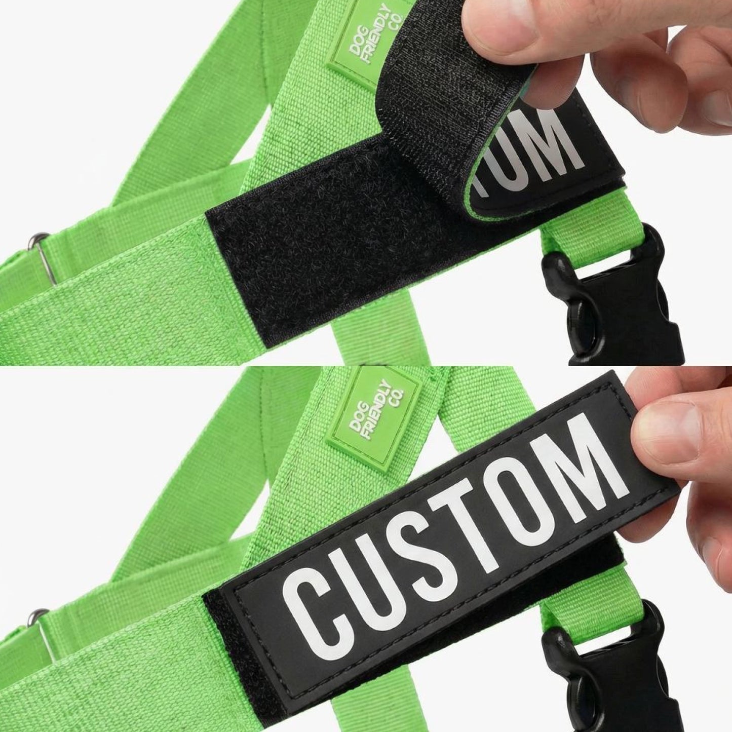 Dog Lovers Pack - Neon Green