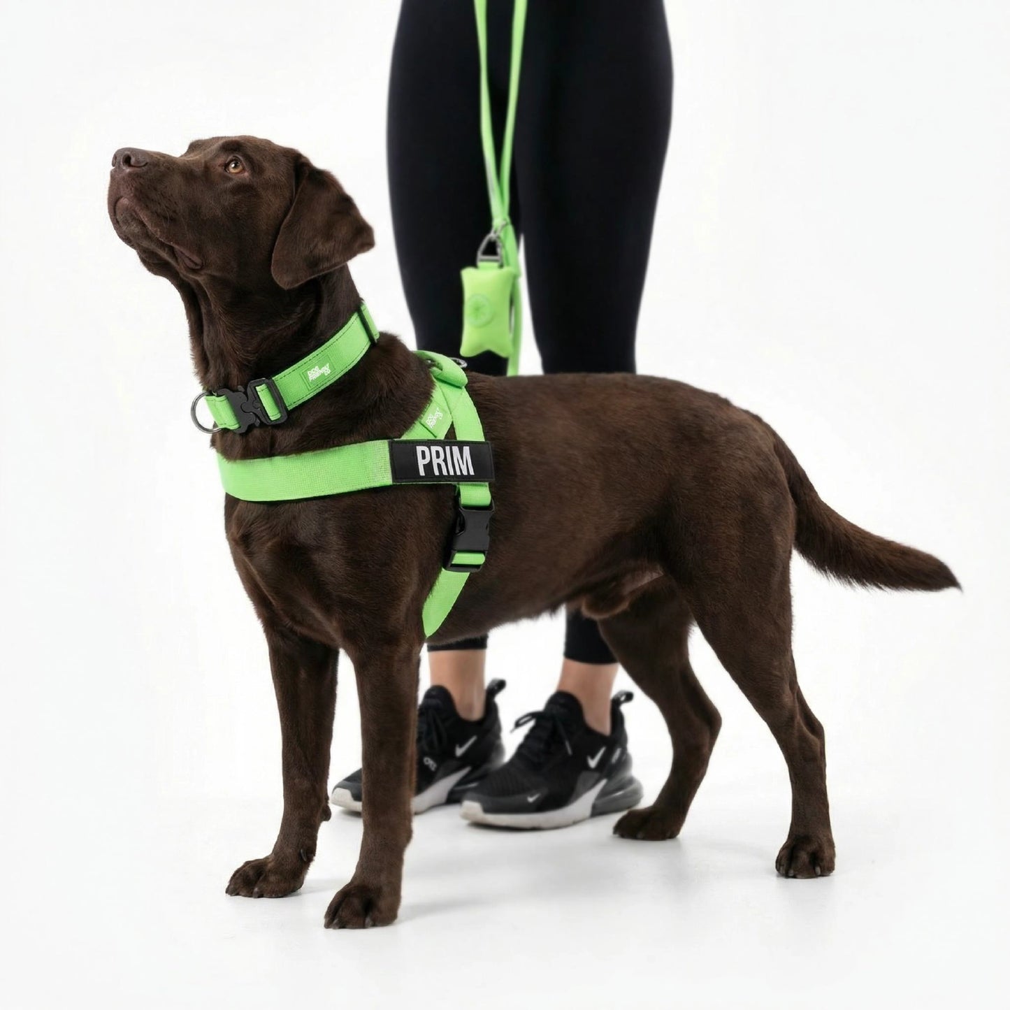 Dog Lovers Pack - Neon Green