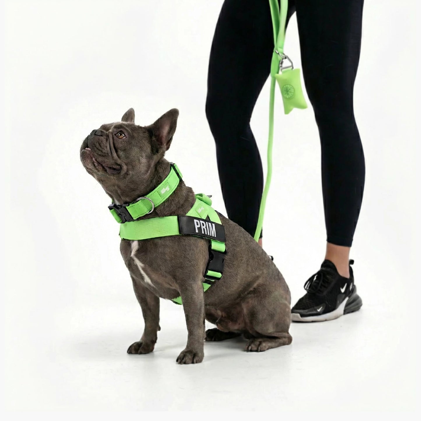 Dog Lovers Pack - Neon Green