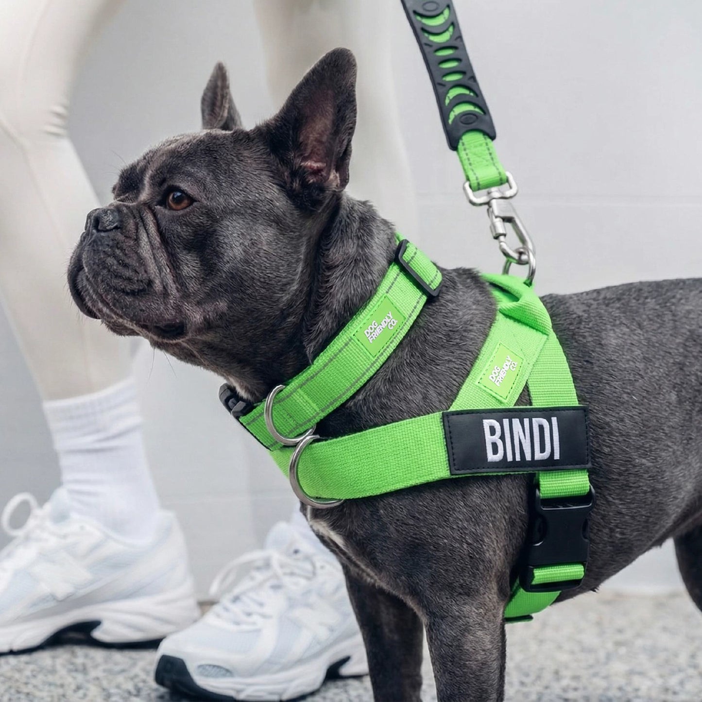 Dog Lovers Pack - Neon Green