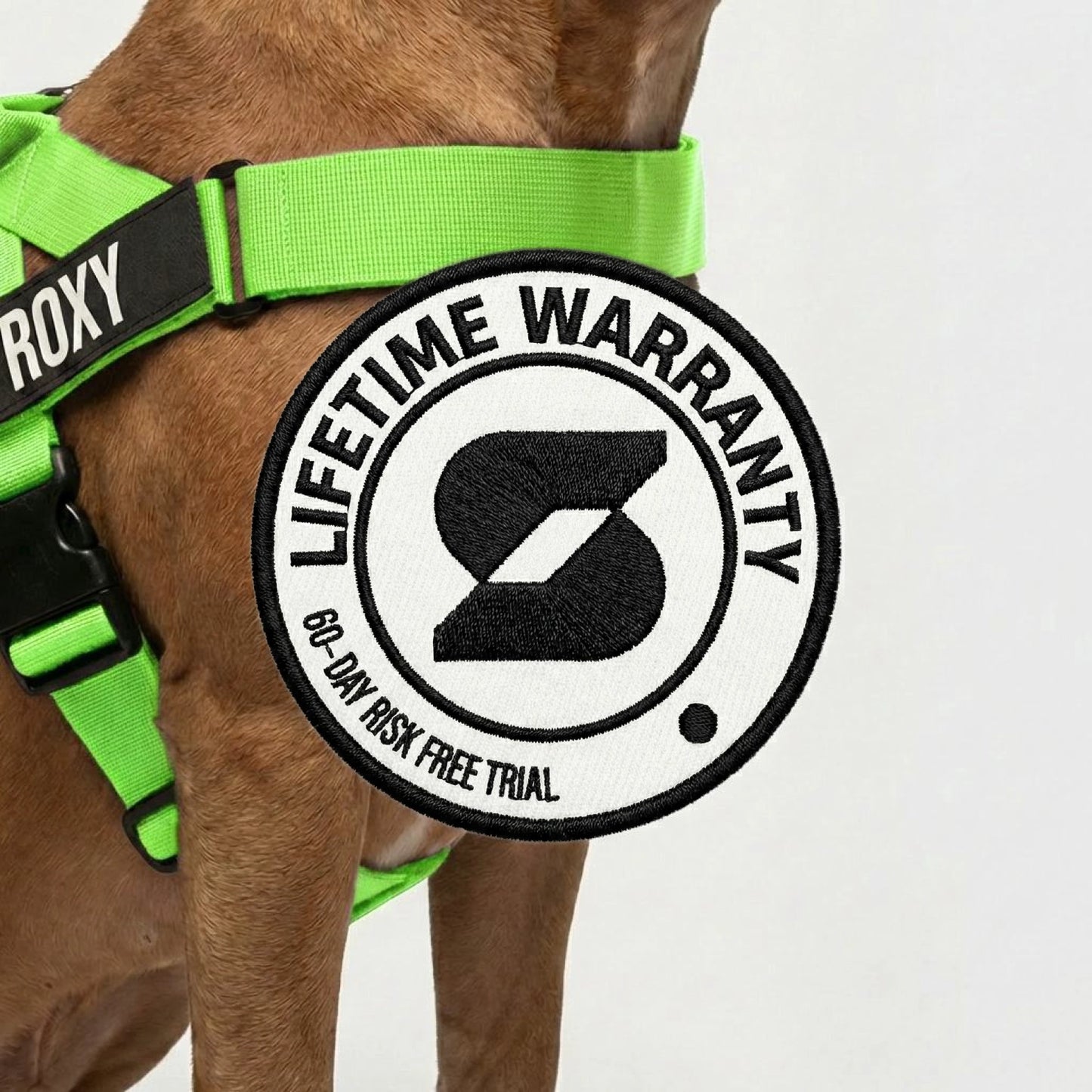 Dog Lovers Pack - Neon Green