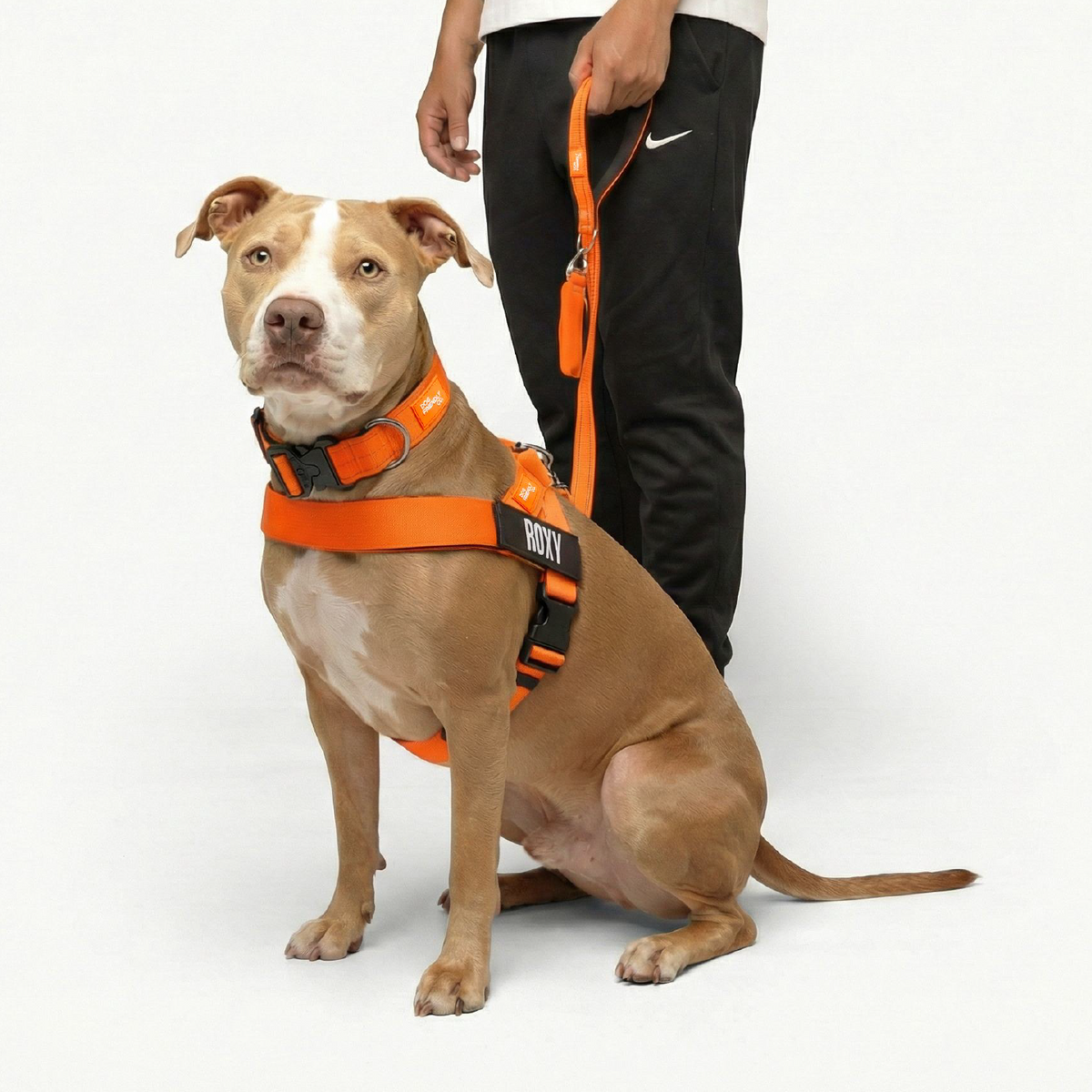 Dog Lovers Pack - Hi-Vis Orange