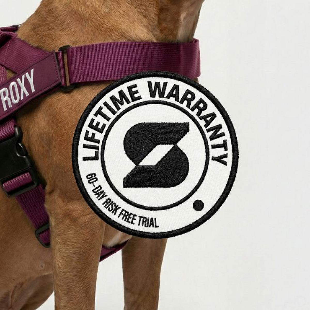 Dog Lovers Pack