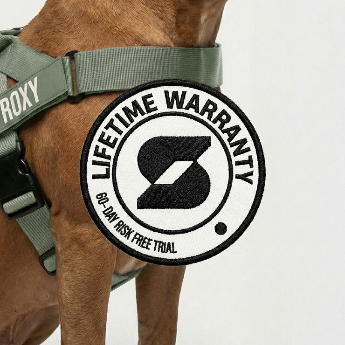 Dog Lovers Pack