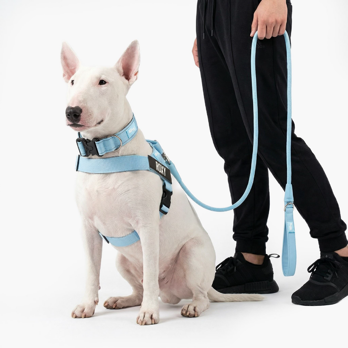 Dog Lovers Pack - Sky Blue